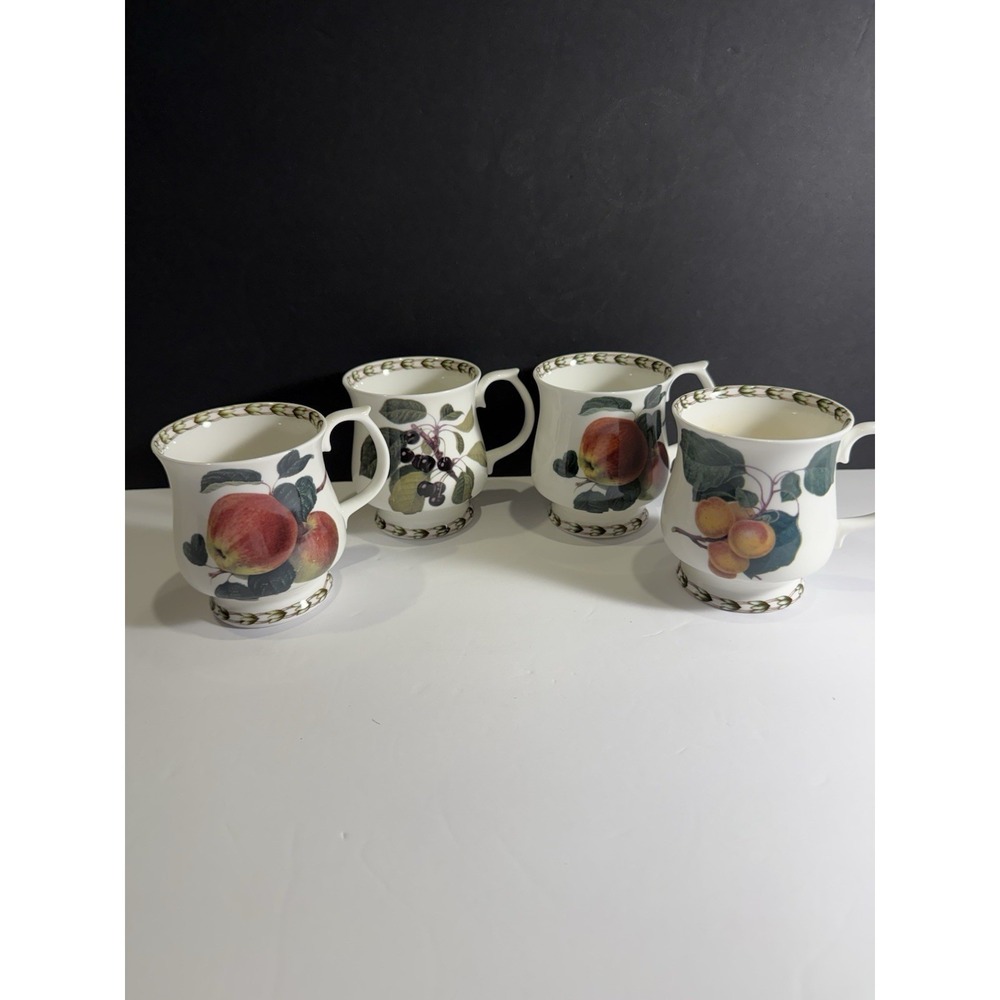 Queens Hookers Fruit Mug Set of 4 Bone China RHS Botanical Coffee Tea